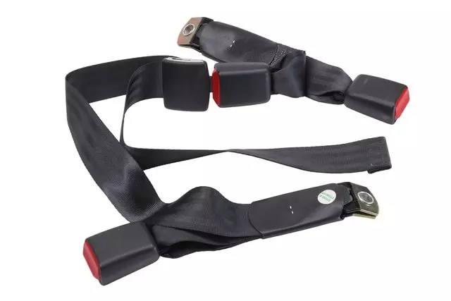 Rear Seat Center Belt