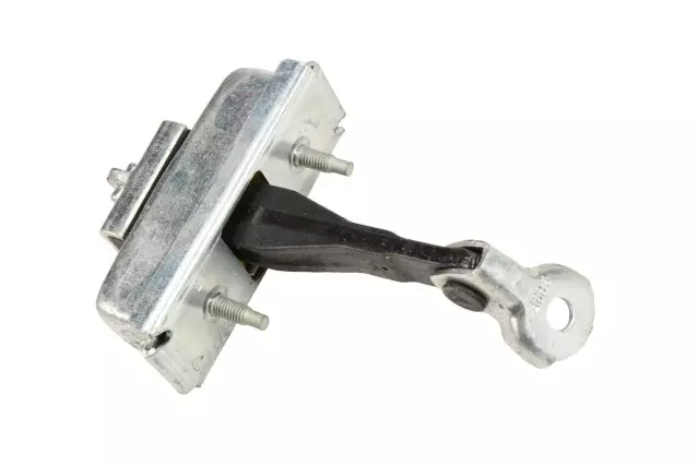 Front Door Check Assembly