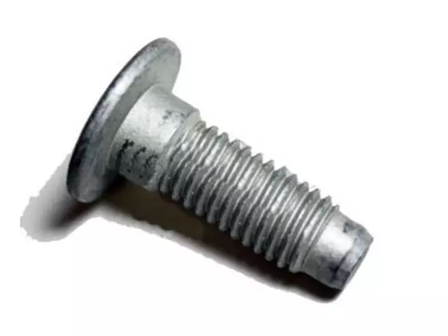 Bumper Bolt