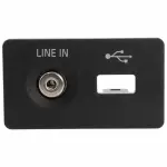 2014-2021 Ford - Auxiliary Jack Bezel