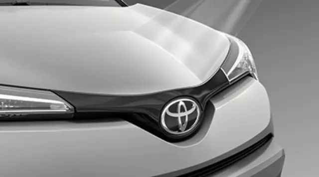 Paint Protection Film