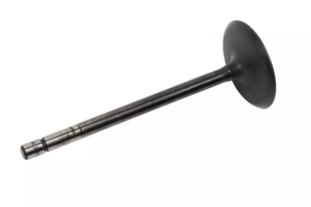 Intake Valve