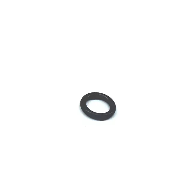 Fuel Injector O-Ring