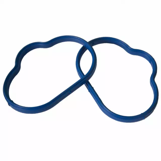Manifold Gasket - Ford (XW4Z-9439-AA)