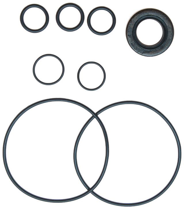 Power Steering Pump Seal Kit with Seals and ORings 19185858