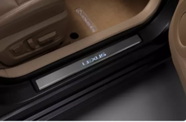 Illuminated Door Sills