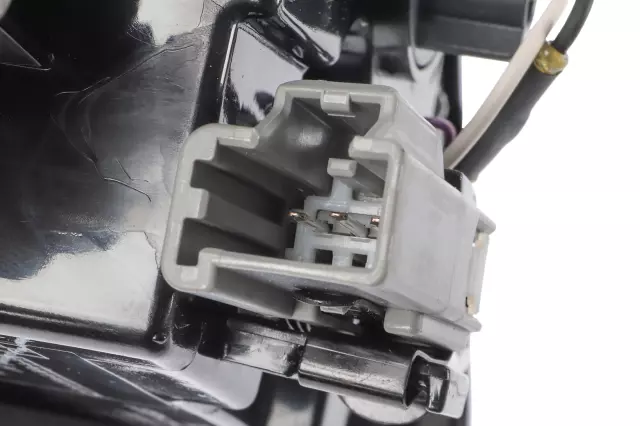 Backup Lamp Assembly