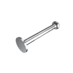 Brake Shoe Hold Down Pin