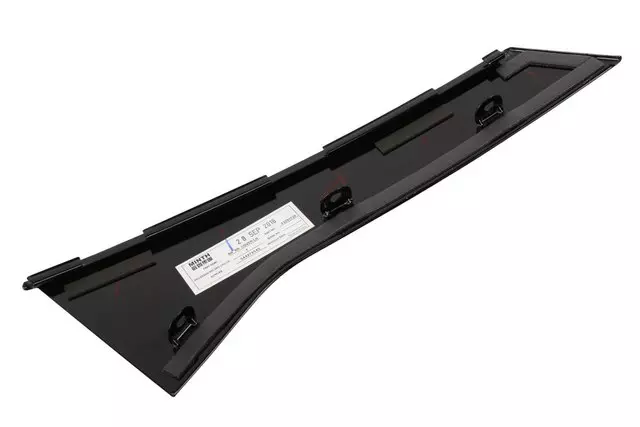 Jet Black Rear Driver Side Door Window Frame Rear Applique