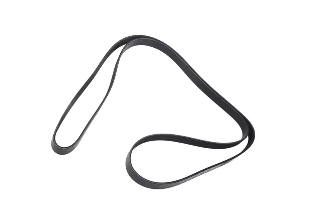 Serpentine Belt