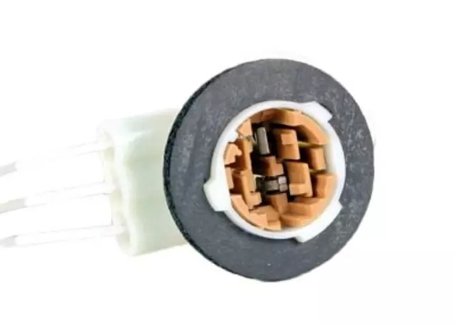 Multi-Purpose Lamp Socket