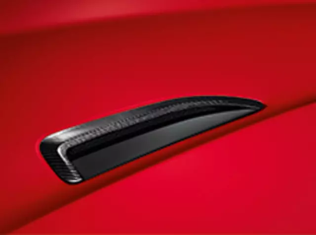 Bonnet Louvre, Silver Weave Carbon Fiber