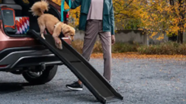 PTN59-8923U - Happy Ride Folding Pet Ramp 2023-2026 Lexus | Longo