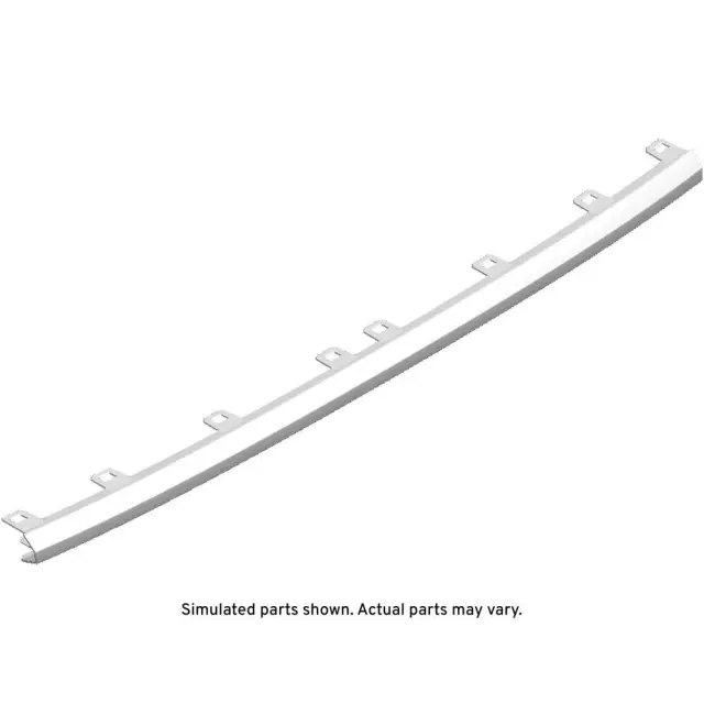 Black Rear Bumper Fascia Molding