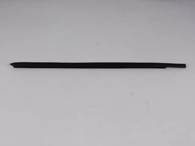 Rear Door Belt Outer Weatherstrip, Left