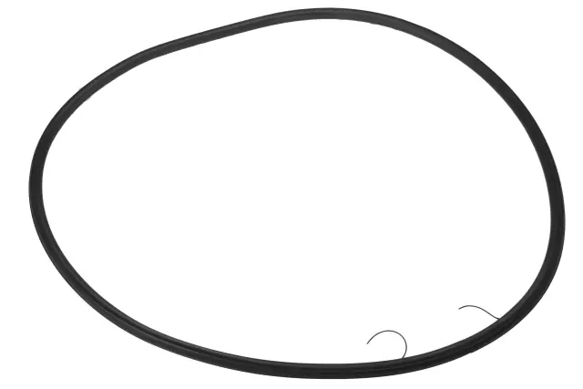 Driver Side Door Weatherstrip