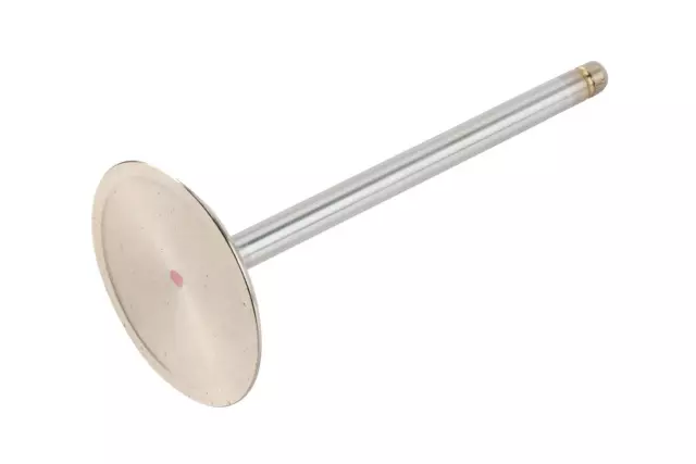 Intake Valve