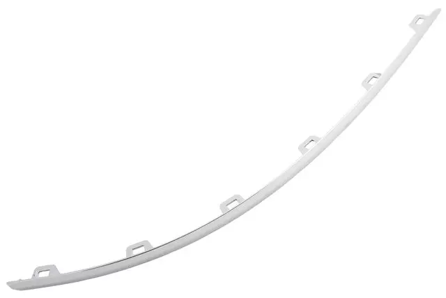 Rear Driver Side Bumper Fascia Molding