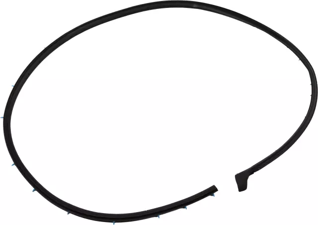 Surround Weather-Strip