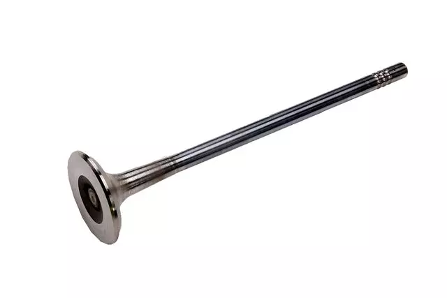 Exhaust Valve