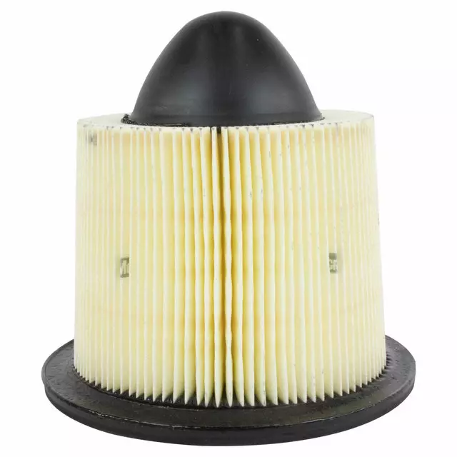 1991-2002 Ford - Engine Air Filter