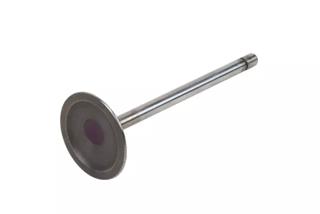 Intake Valve
