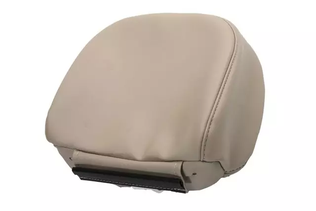 Light Neutral Front Seat Head Restraint