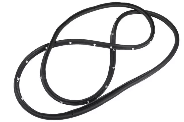 Passenger Side Door Seal