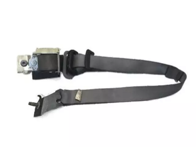Lap & Shoulder Belt