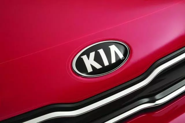 Hood Protector - Clear Applique