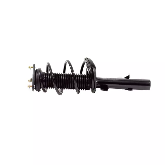 Front Passenger Side Suspension Strut and Coil Spring Assembly