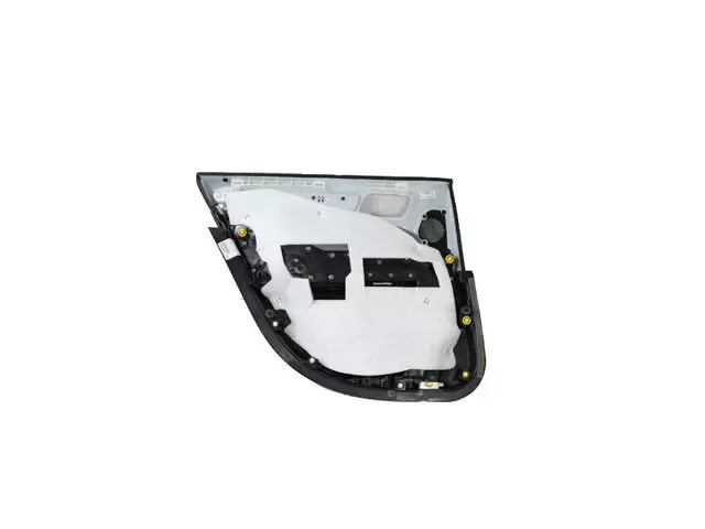 2016-2020 Chrysler 300 Rear Door Trim Panel Assembly, Right