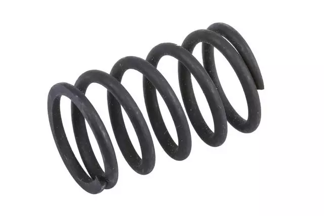 Brake Cylinder Piston Spring