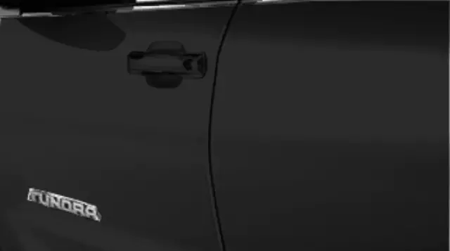 2017 Toyota Tundra - Door Edge Guard, Black