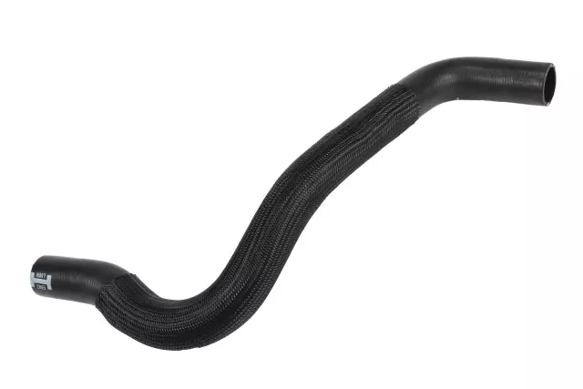 Radiator Outlet Hose