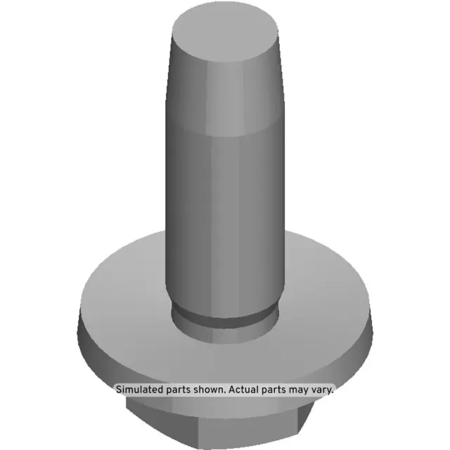 Center Belt Assembly Lower Bolt