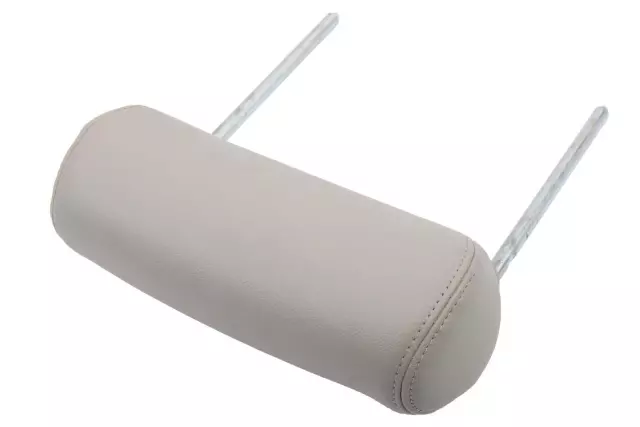 Light Titanium Rear Seat Head Restraint