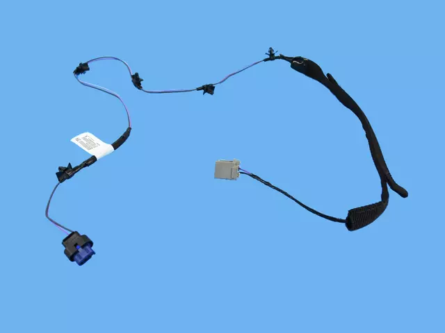 Rear Door Wiring, Left