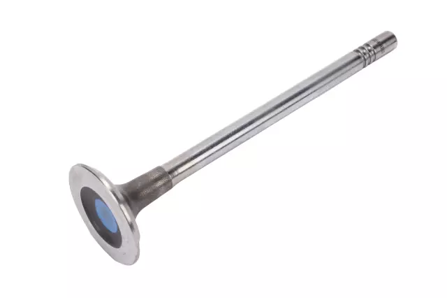Exhaust Valve