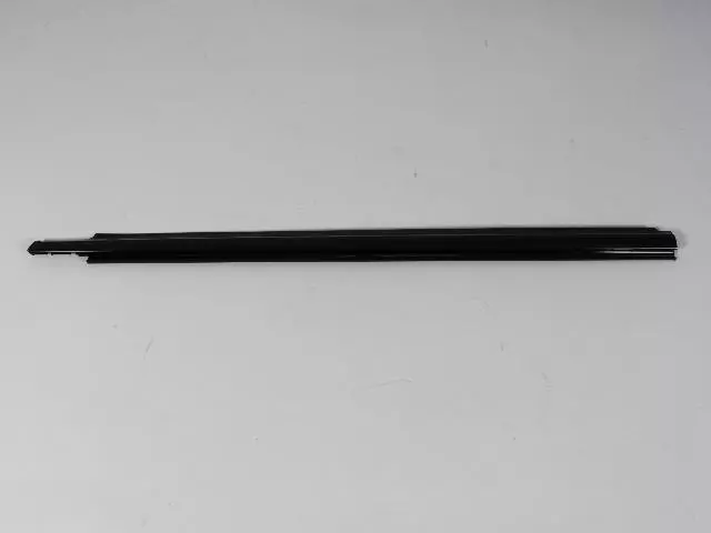 Front Door Belt Weatherstrip, Left