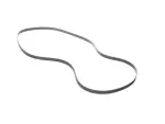 Serpentine Belt