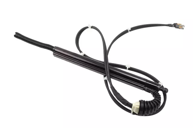 Rear Power Liftgate Actuator