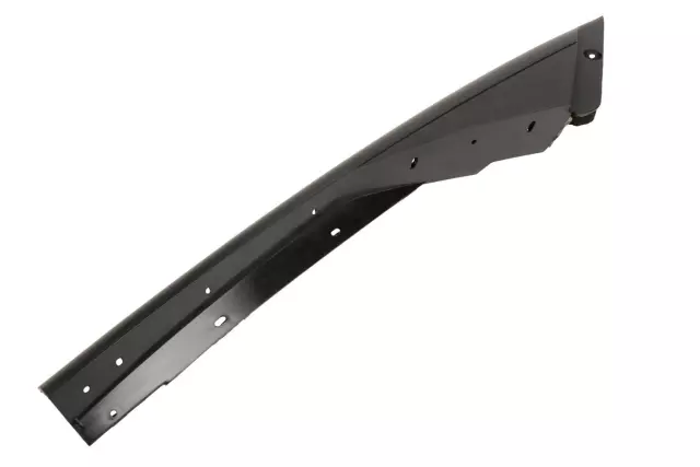 Applique Asm-Frt S/D Wdo Frm  Frt