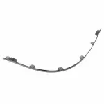 Molding - Passenger Side (RH)