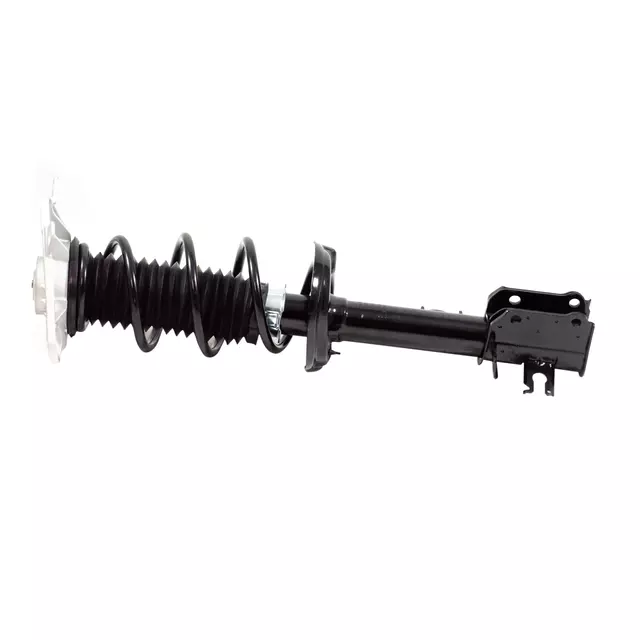 Rear Driver Side Suspension Strut and Coil Spring Assembly
