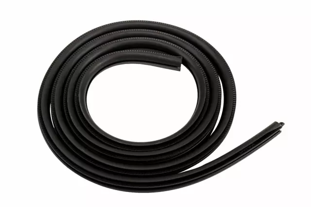 Driver Side Front Door Weatherstrip