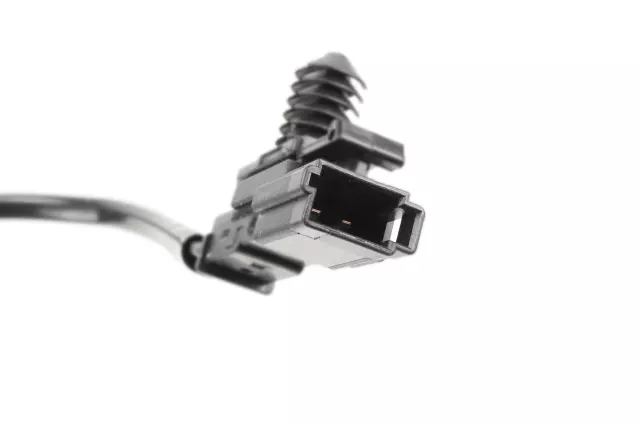 Light Neutral Seat Belt