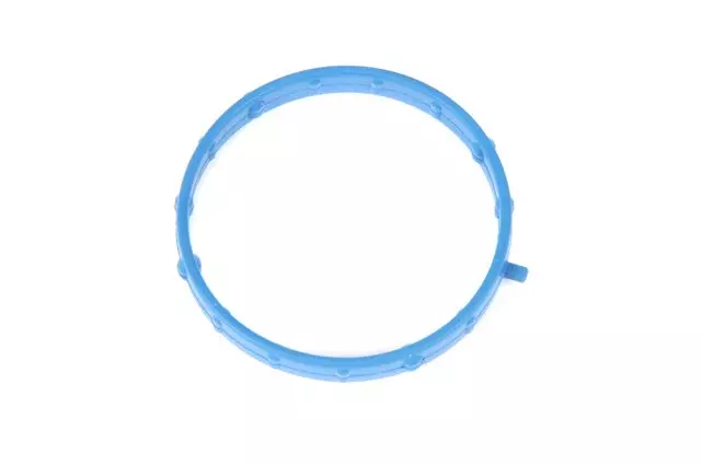 Fuel Injection Throttle Body Mounting Gasket