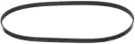 Power Steering Belt
