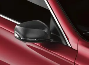 Outside Mirror Covers - Carbon Fiber